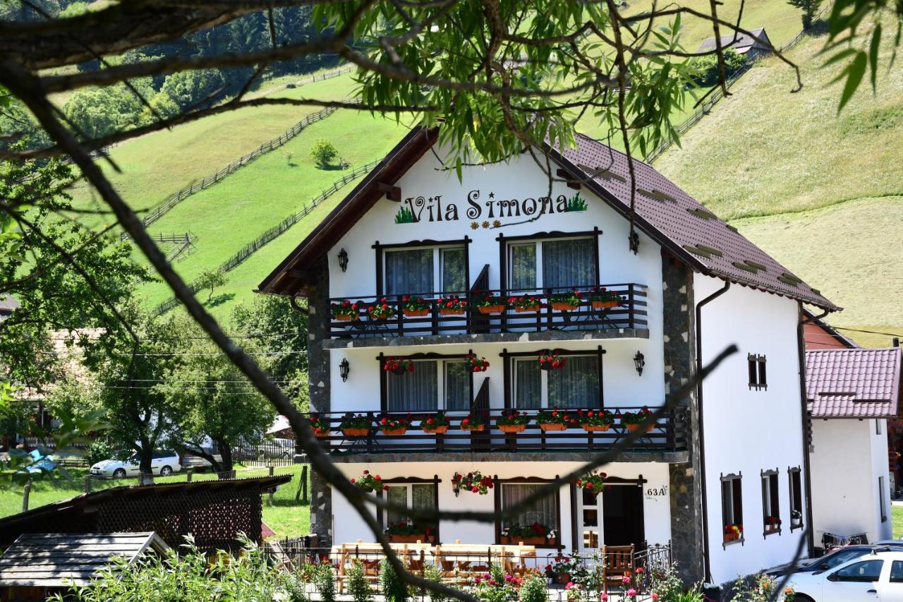 Vila Simona Moeciu De Sus Buitenkant foto