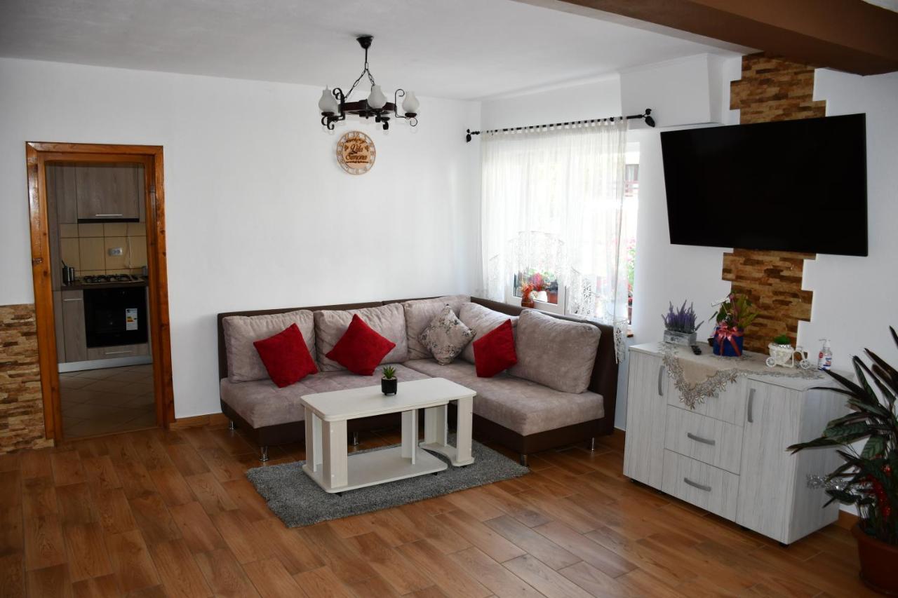 Vila Simona Moeciu De Sus Buitenkant foto