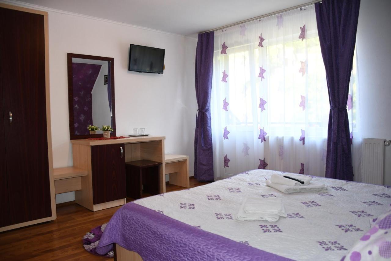 Vila Simona Moeciu De Sus Buitenkant foto