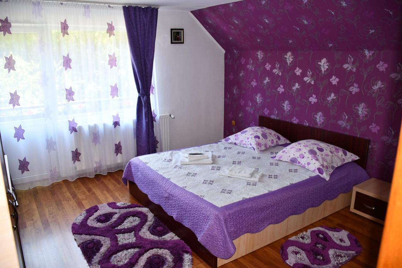 Vila Simona Moeciu De Sus Buitenkant foto