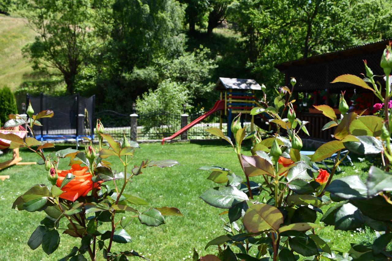 Vila Simona Moeciu De Sus Buitenkant foto