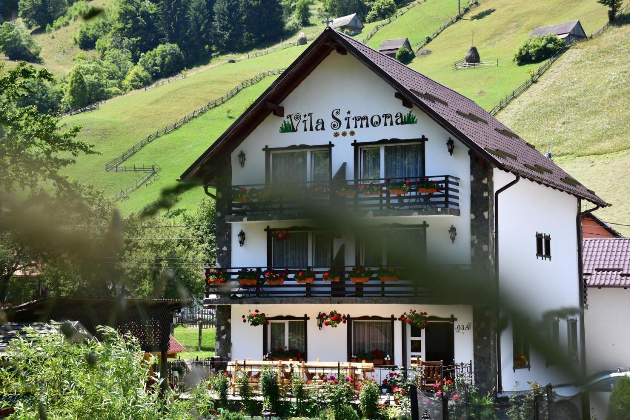 Vila Simona Moeciu De Sus Buitenkant foto