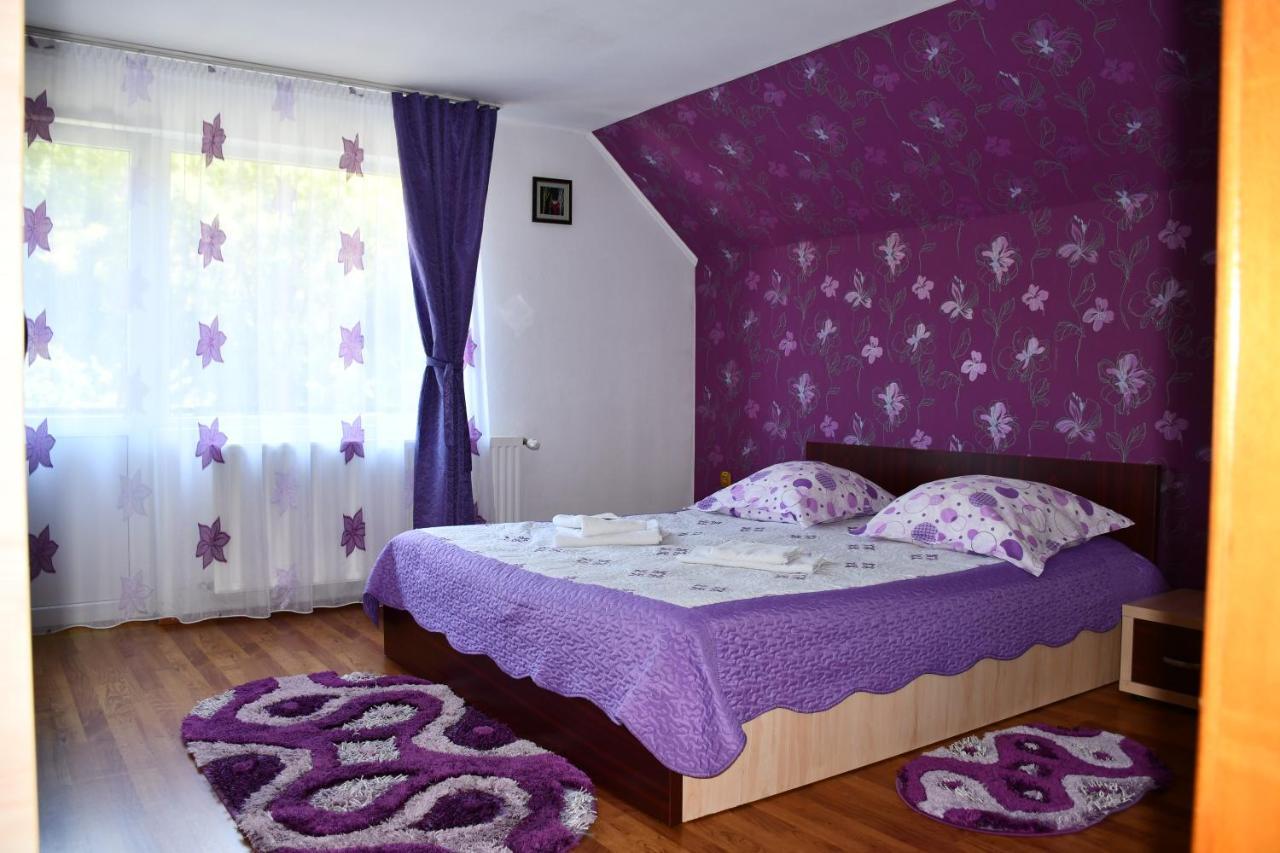 Vila Simona Moeciu De Sus Buitenkant foto