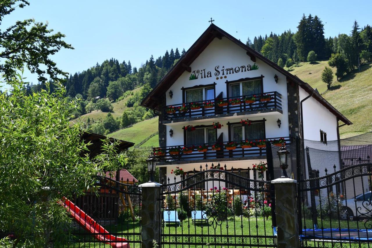 Vila Simona Moeciu De Sus Buitenkant foto