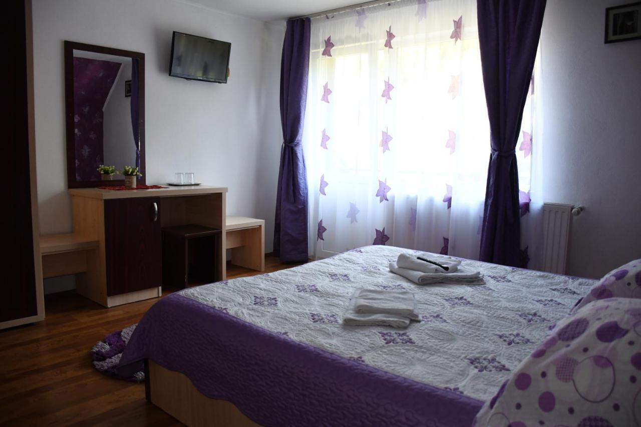 Vila Simona Moeciu De Sus Buitenkant foto