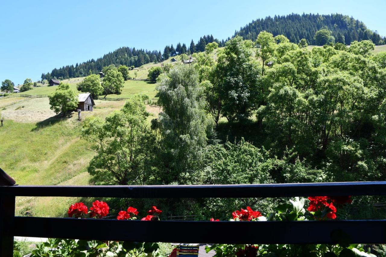 Vila Simona Moeciu De Sus Buitenkant foto