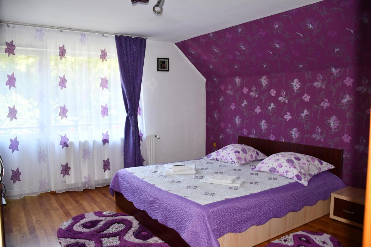 Vila Simona Moeciu De Sus Buitenkant foto