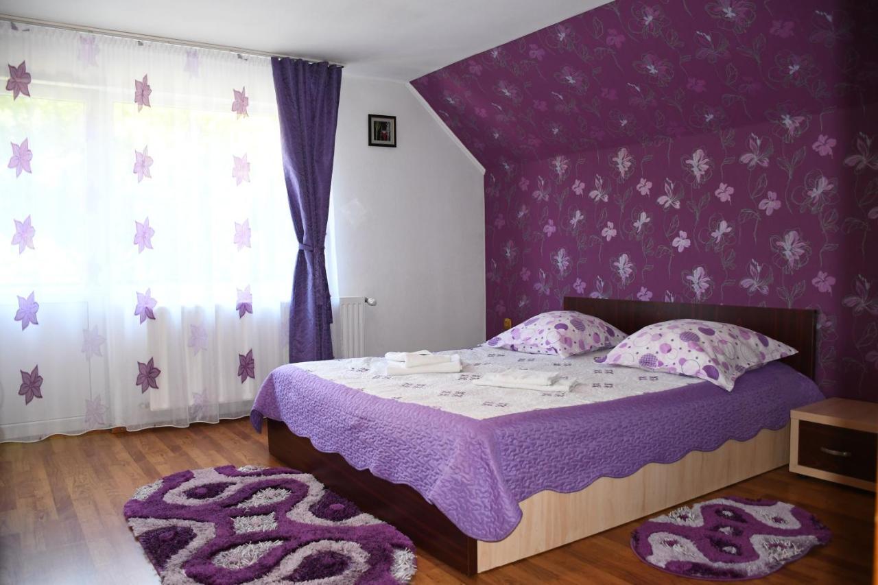 Vila Simona Moeciu De Sus Buitenkant foto