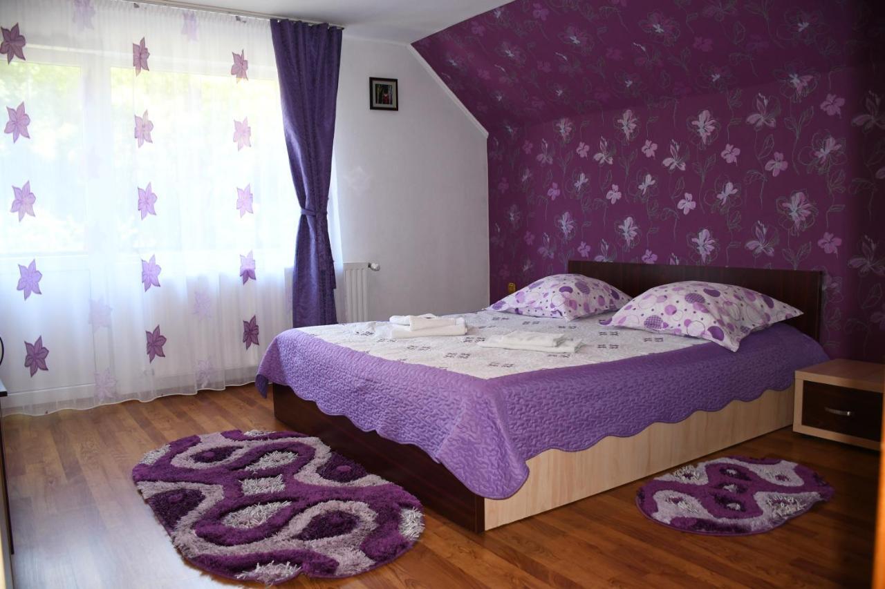 Vila Simona Moeciu De Sus Buitenkant foto